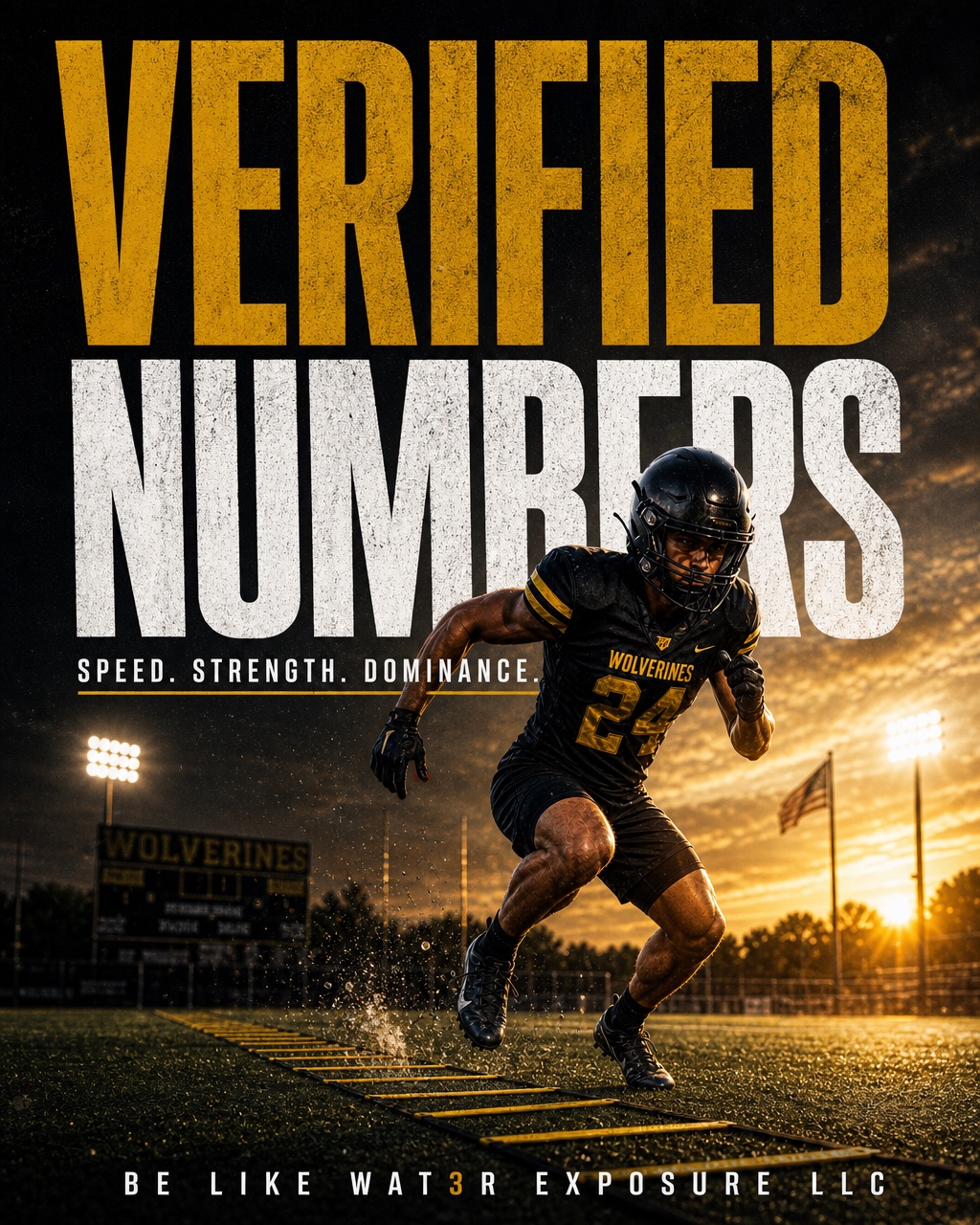 BLWE Verified Numbers speed strength dominance graphic